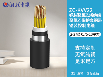 銅芯聚氯乙烯絕緣聚氯乙烯護(hù)套鋼帶鎧裝控制電纜 銅芯聚氯乙烯絕緣聚氯乙烯護(hù)套鋼帶鎧裝控制電纜